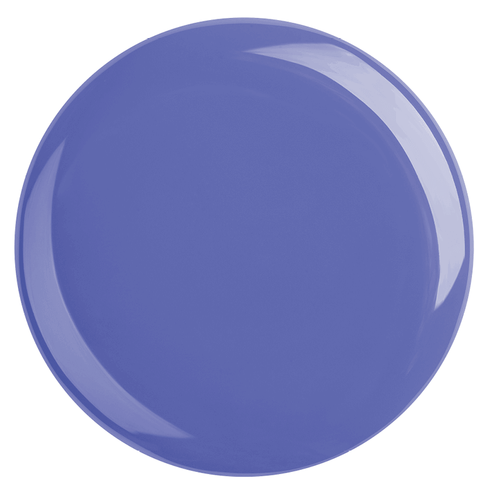Deep purple circular plate showcasing a glossy finish, perfect for stylish dining and serving.