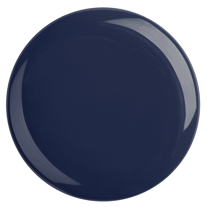 Navy blue ceramic plate, glossy finish, perfect for elegant dining and decor.